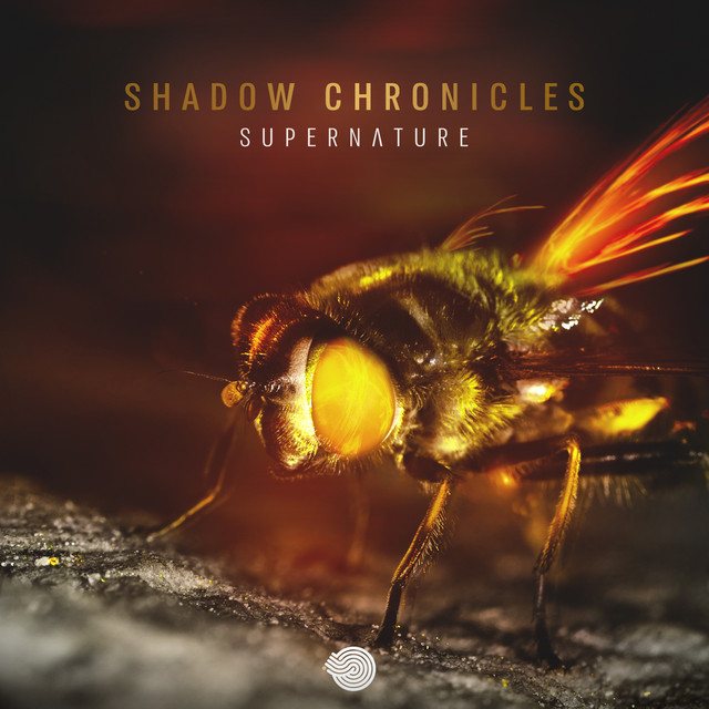 Supernature album art