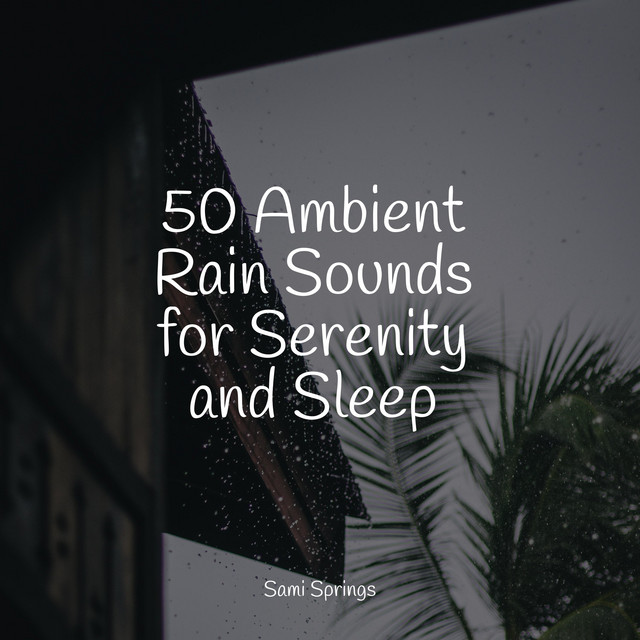 50 Ambient Rain Sounds for Serenity and Sleep - Album by Tinnitus | Spotify