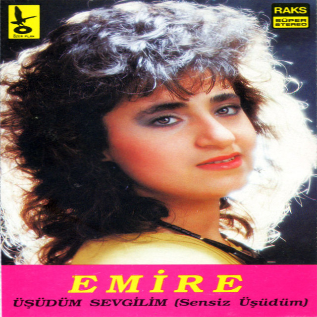Üsüdüm Sevgilim cover art