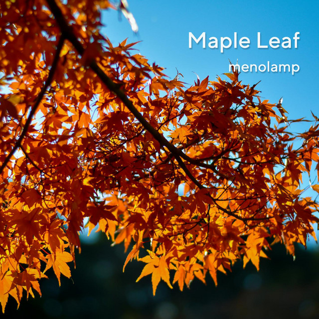 Maple Leaf - Single by menolamp | Spotify