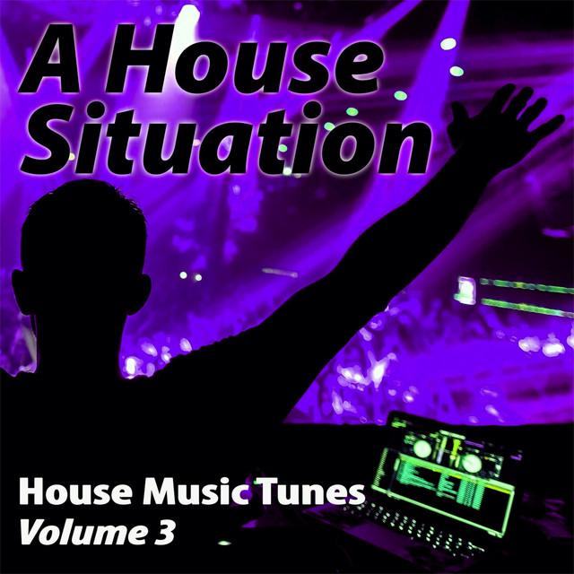 A House Situation, 3 - House Music Tunes cover