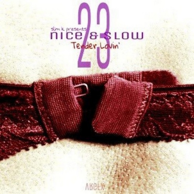 Nice & Slow 23 (Tender Lovin') cover