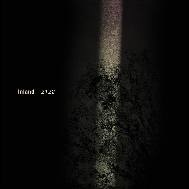 Noisefields cover art