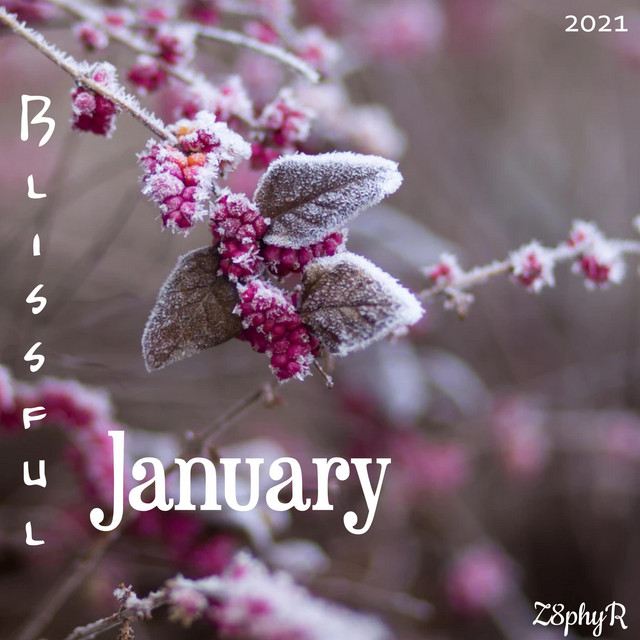 Blissful January cover art