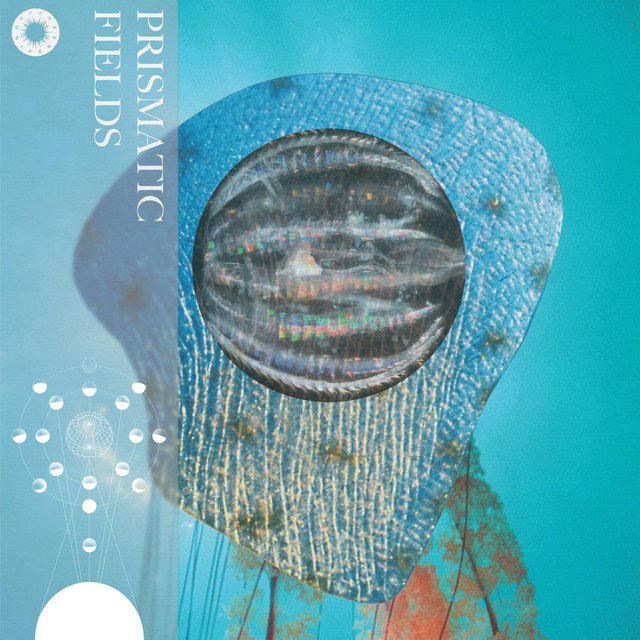 Prismatic Fields cover