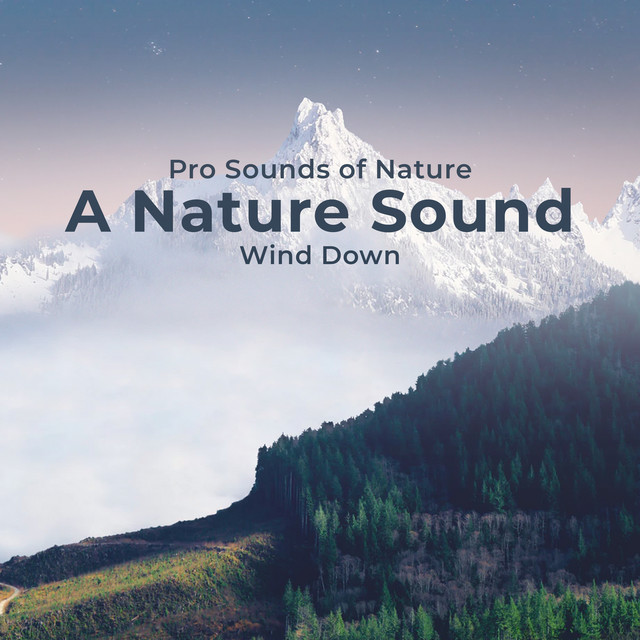 Humbled Birds - song and lyrics by Pro Sounds of Nature | Spotify