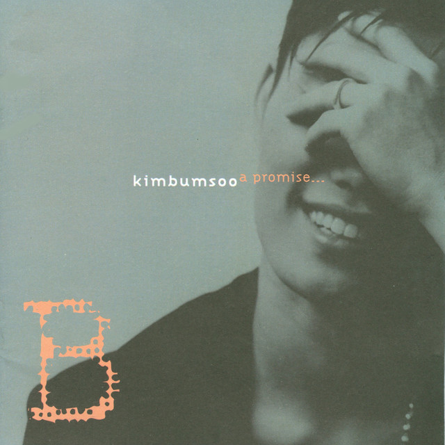 Promise... cover art