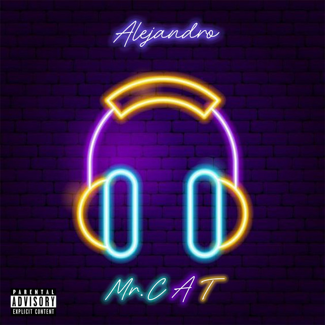 Mr. CAT cover art