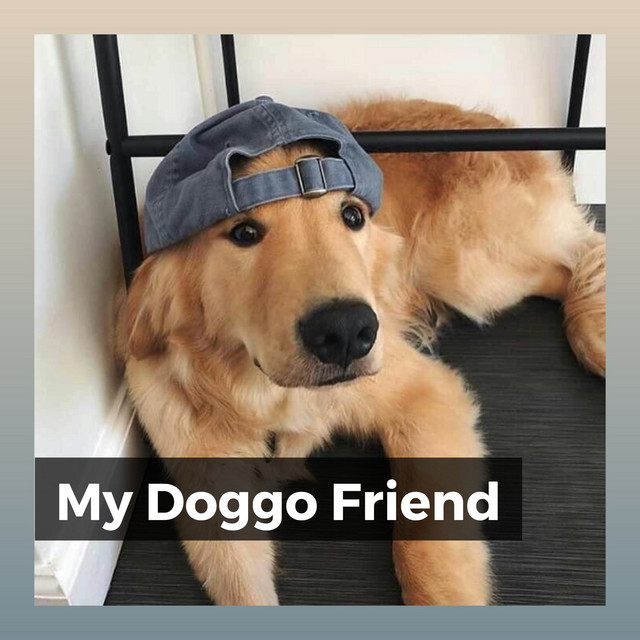 My Doggo Friend - Album by Music for Dog's Ears | Spotify