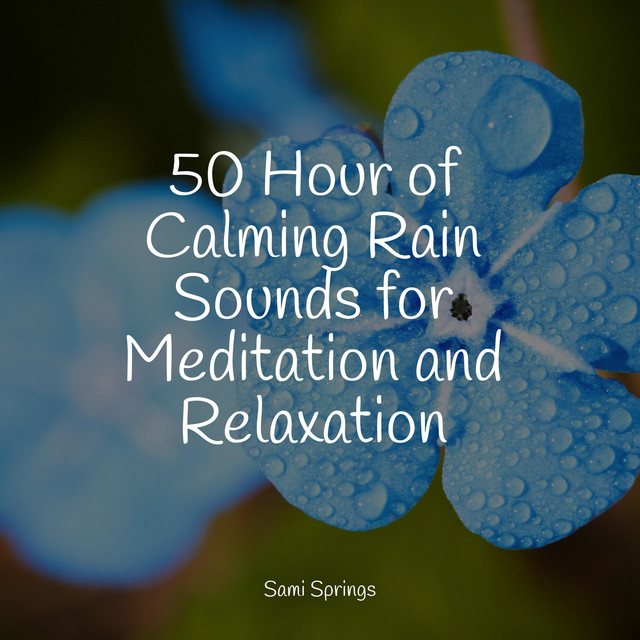 50 Hour of Calming Rain Sounds for Meditation and Relaxation - Album by ...