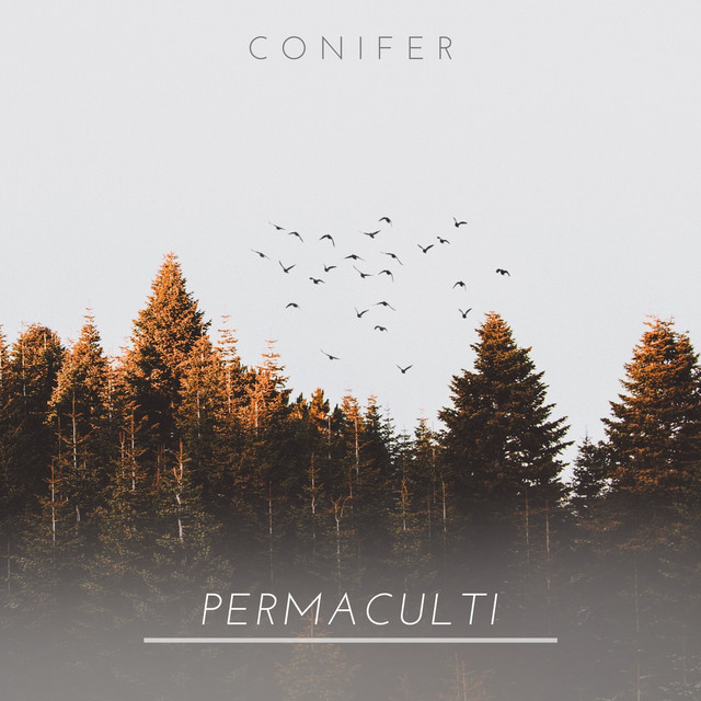 Conifer cover art