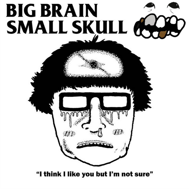 I Think I Like You But I'm Not Sure cover art