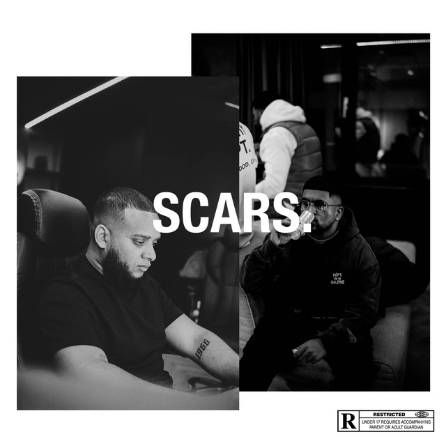 Scars. cover art