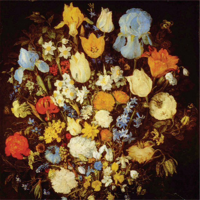 Navigated Like the Swans cover art