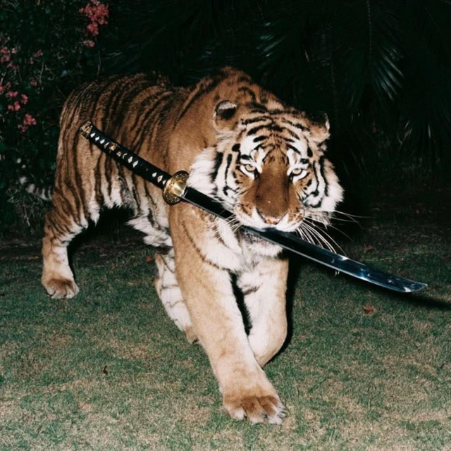 Jungle