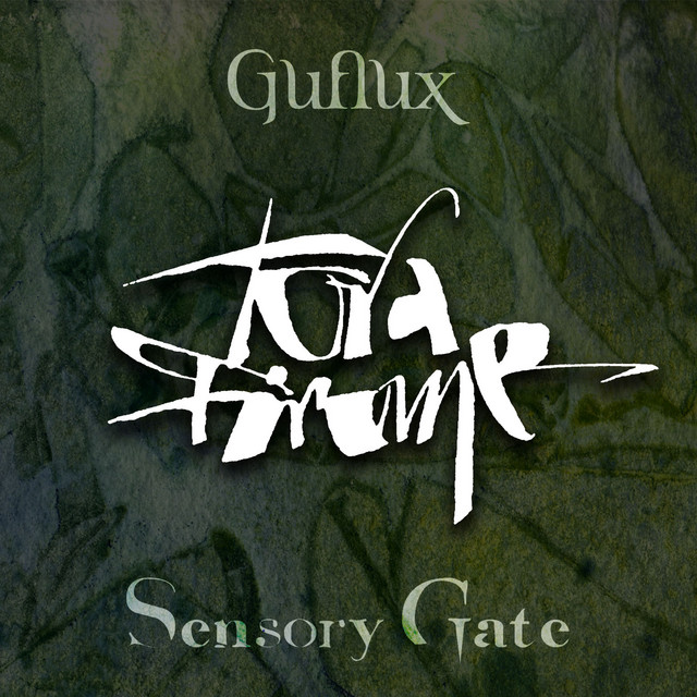 Tora Firome (Sensory Gate Edit) cover