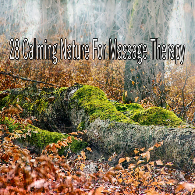 28 Calming Nature For Massage Therapy - Album by Nature Sounds Artists ...