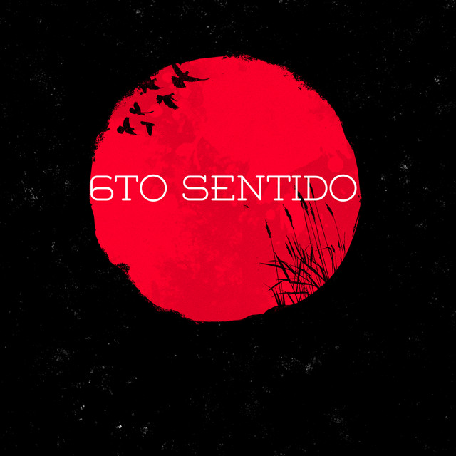6To Sentido