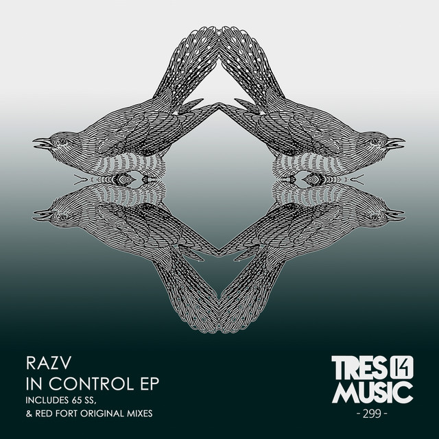 IN CONTROL EP cover art