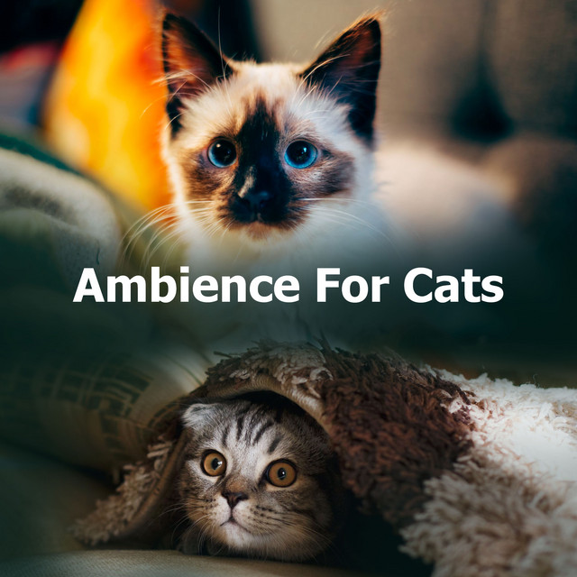 Ambience For Cats cover art