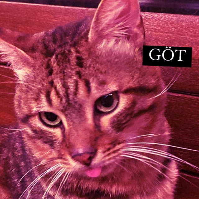 sen bir götsün cover art