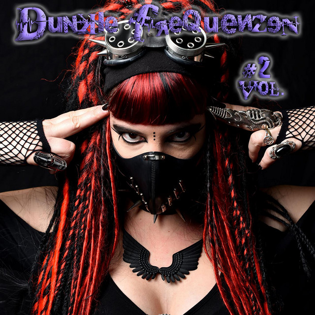 Dunkle Frequenzen, Vol​.2 cover