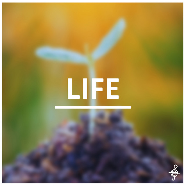 Life cover