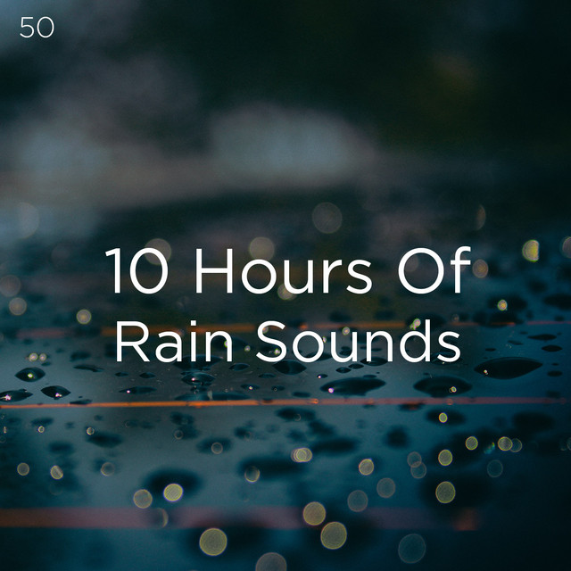 10 Hours Of 50 Rain Sounds cover art
