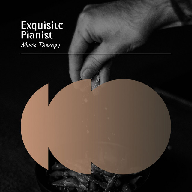 Exquisite Pianist Music Therapy cover art