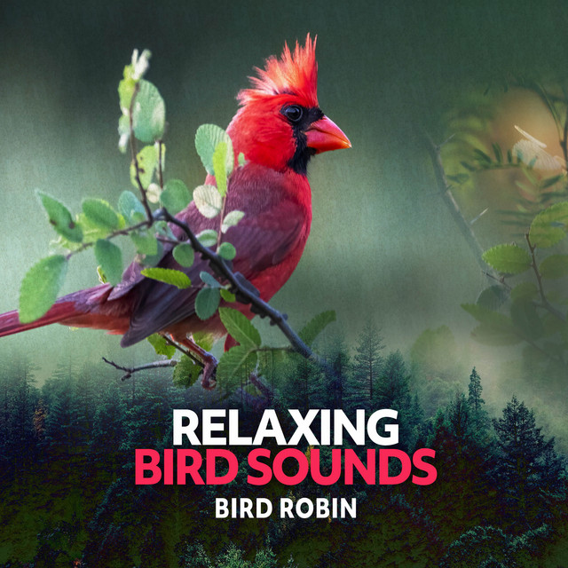 Relaxing Bird Sounds cover art