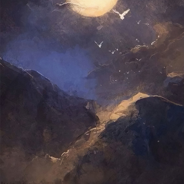 Vero cover art