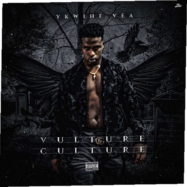 Vulture Culture cover art