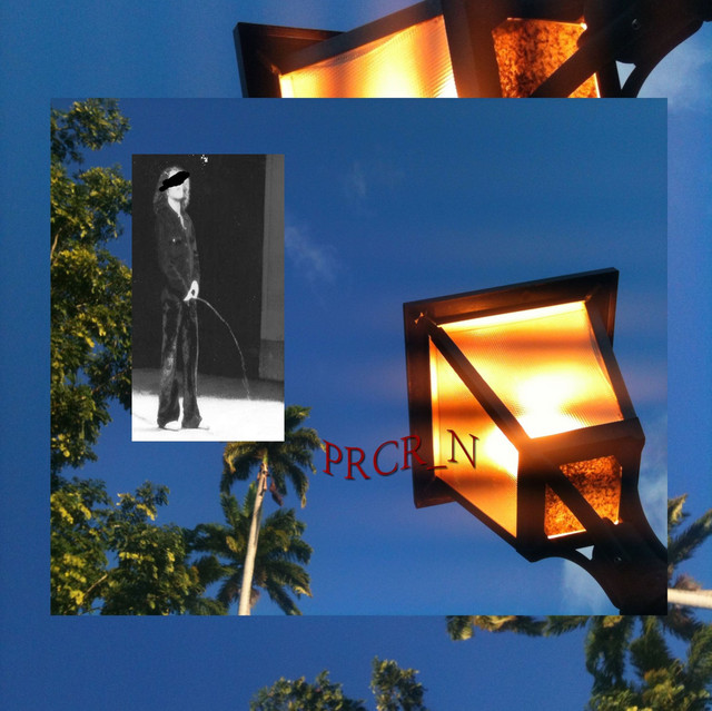 PRCR N cover art