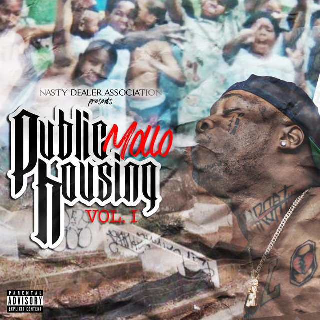 Public Housing, Vol. 1 cover art