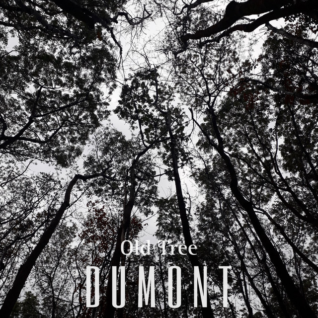 Old Tree cover art