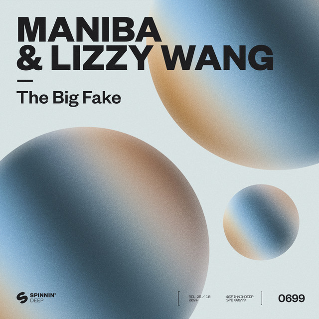 The Big Fake - Extended Mix album art
