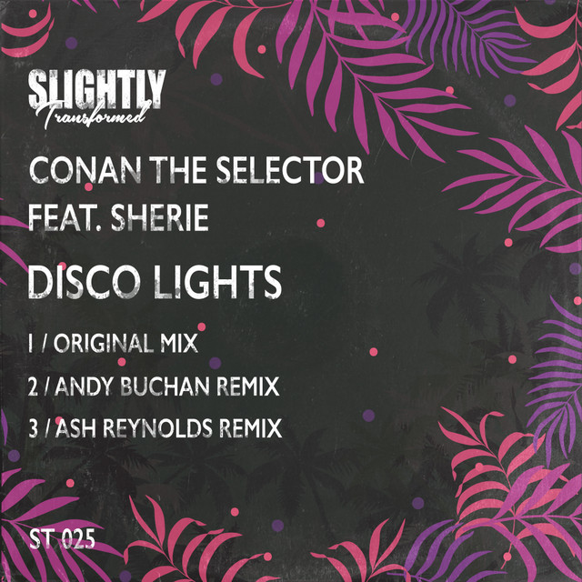 Disco Lights cover art