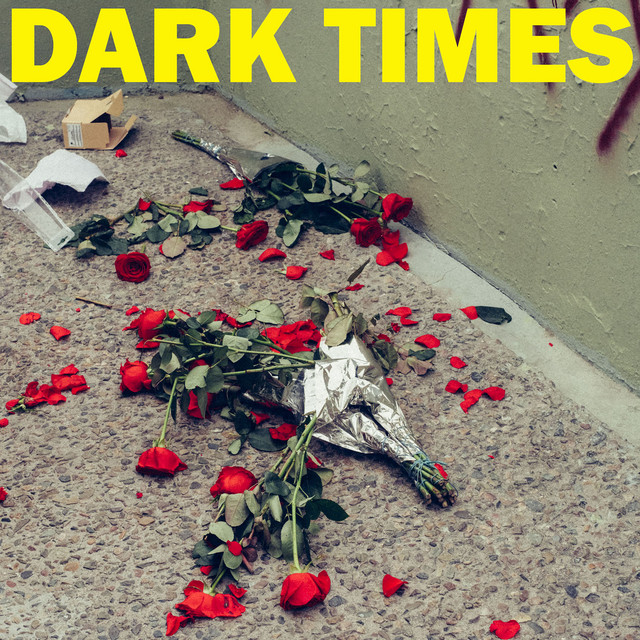 Dirt cover