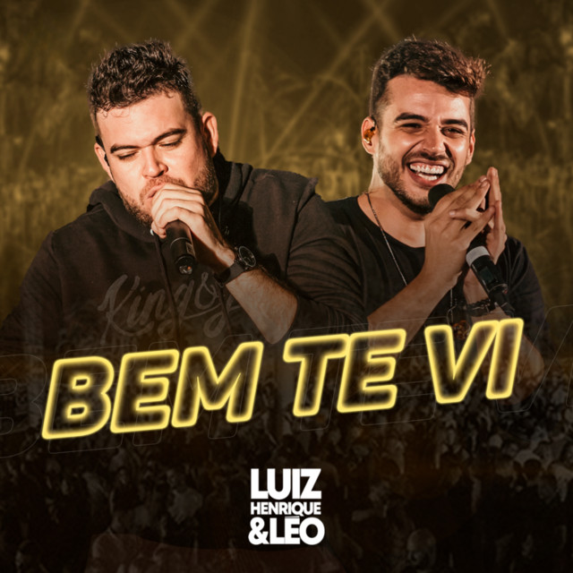 Bem Te Vi