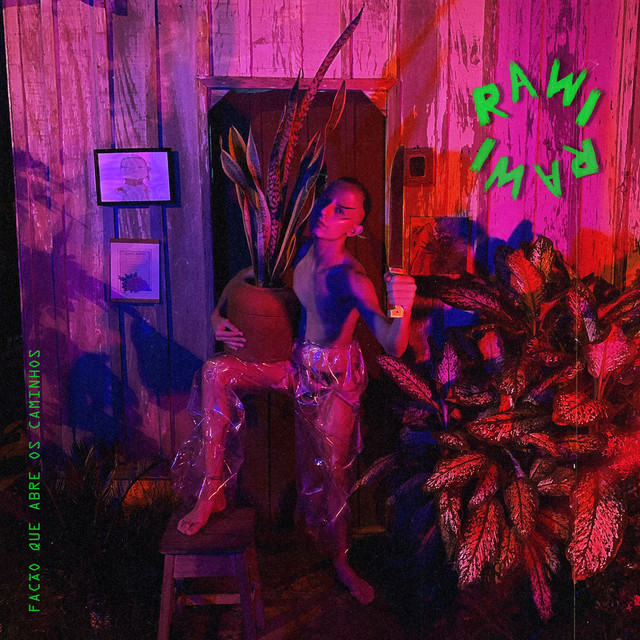 Facão Que Abre os Caminhos cover art