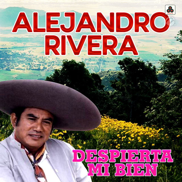 Despierta Mi Bien cover art