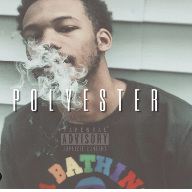 Polyester cover art