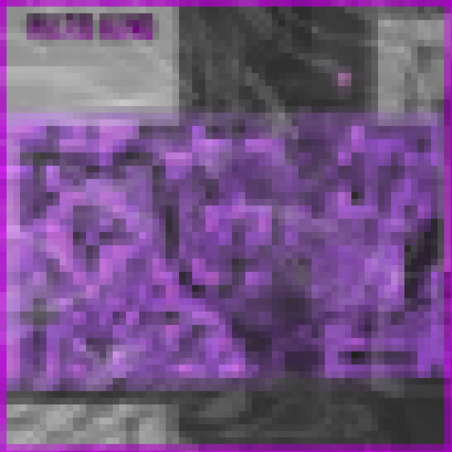 Cover art for Constant Shutter