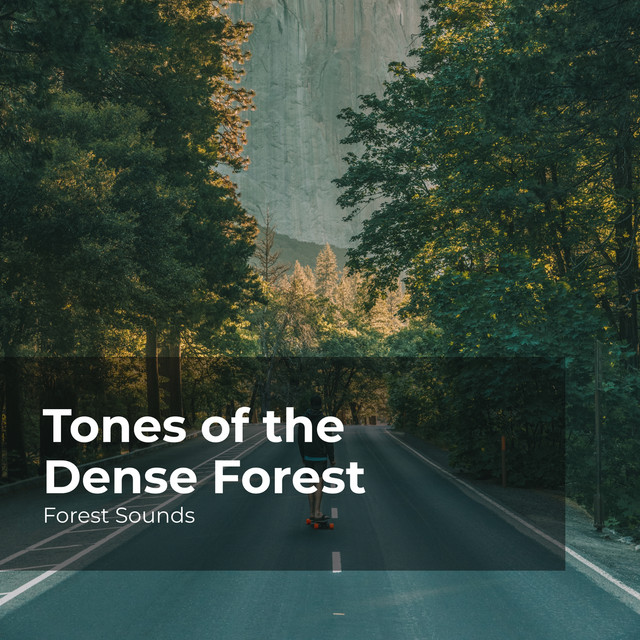 Tones of the Dense Forest cover art