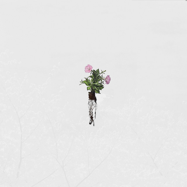 Hamatreya (single)