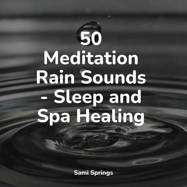 50 Meditation Rain Sounds - Sleep and Spa Healing - Album by Sonido de ...