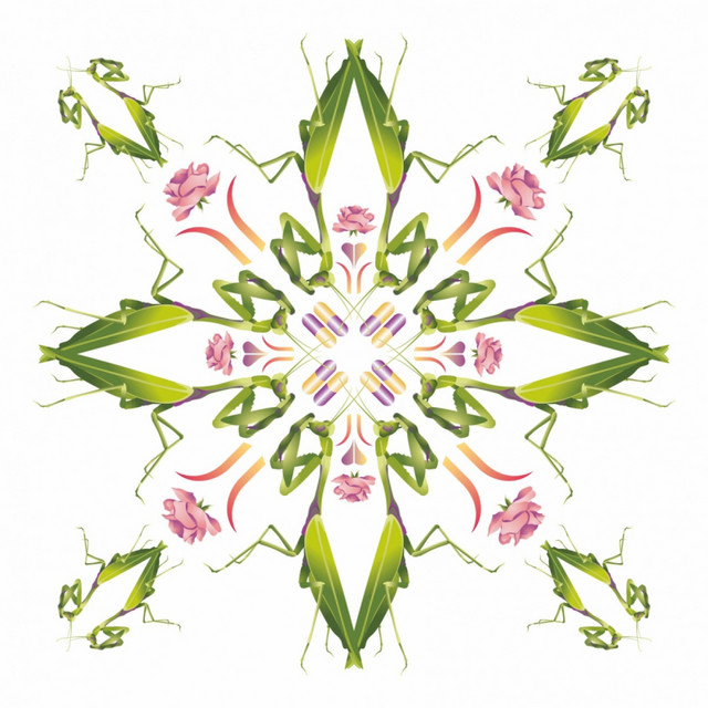 Supersonisch cover art