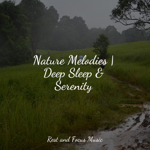 Nature Melodies | Deep Sleep & Serenity - Album by Baby Sleep | Spotify