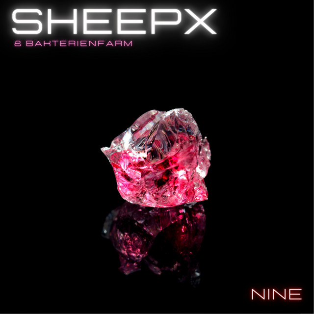 Nine cover art