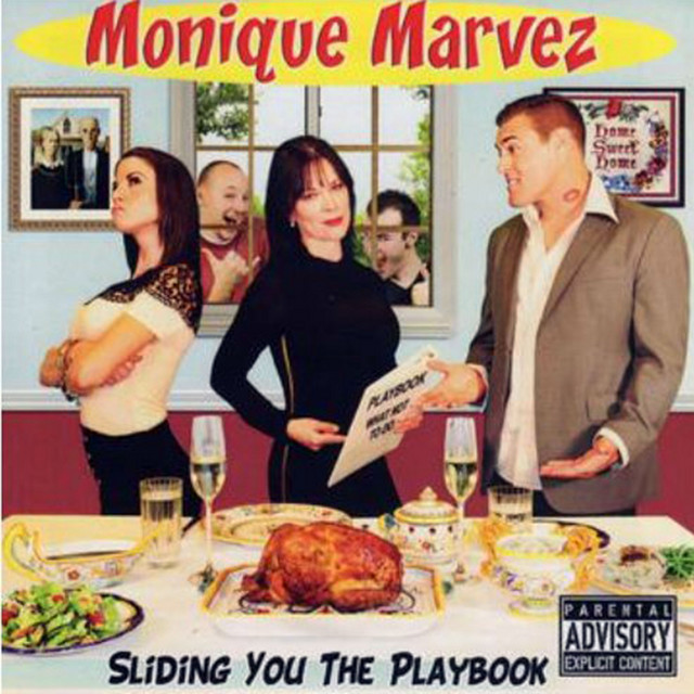 Sliding You the Playbook cover